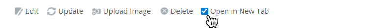 open in a new tab.png